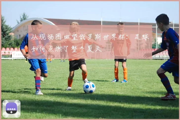 从现场图回望俄罗斯世界杯：足球如何点燃了整个夏天