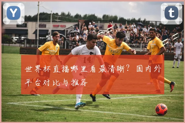 世界杯直播哪里看最清晰？国内外平台对比与推荐