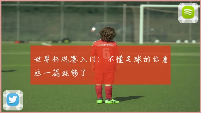 世界杯观赛入门：不懂足球的你看这一篇就够了